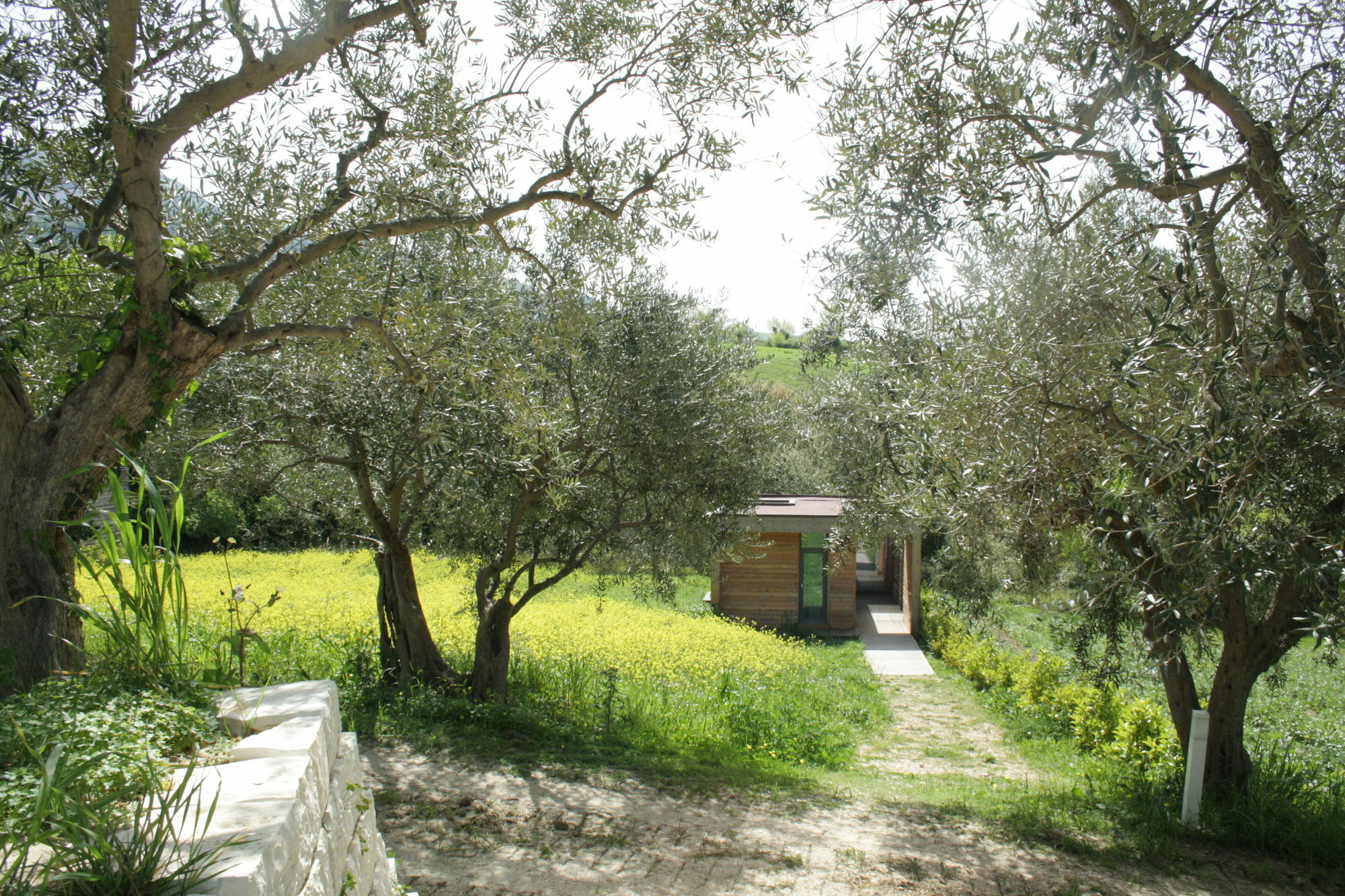 הוילה Il Bevaio Di קורליאונה מראה חיצוני תמונה